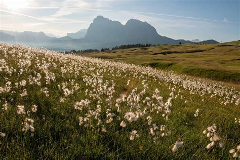 The health benefits of the mountains in summer | OVO Network