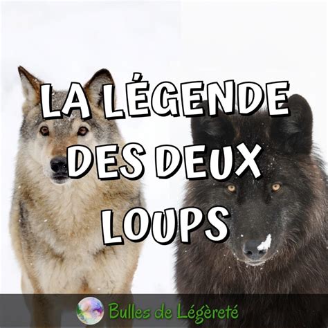 La L Gende Des Deux Loups Histoire Philosophique Pour Ma Triser Vos