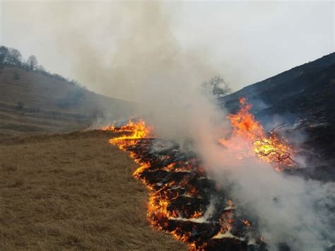 FOTO Incendiu violent într o localitate din Mureș Flăcările au