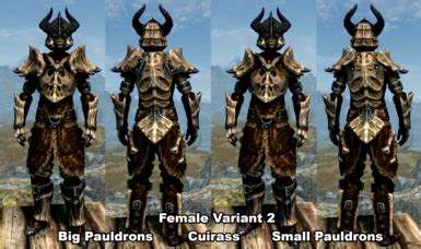 Symmetric Dragonplate Insulated Cuirass And Dragonbone Mail Replacers