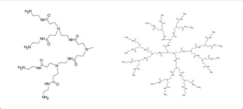 Schematic Representation Of Dendrimer Right Chemical Structure Of