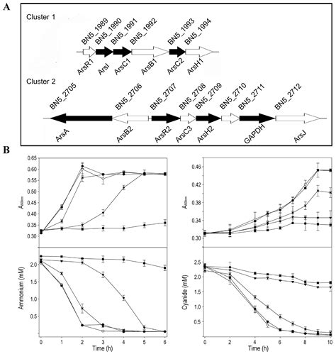 Ijms Free Full Text Proteomic Analysis Of Arsenic Resistance During