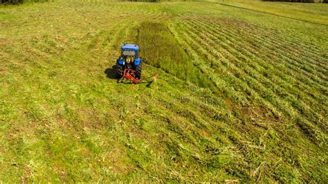 Ojo Del P Jaro Del Cortac Spedes Del Tractor En Funcionamiento Que