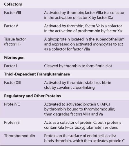 Blood Clotting Factors Table | Brokeasshome.com