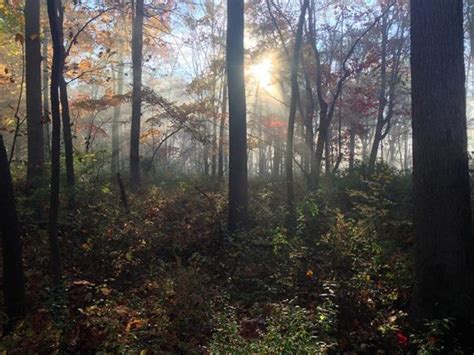 Baldpate Mountain on Halloween | njHiking.com