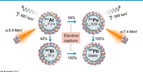 Figure 10 From Actinium 225 Targeted Alpha Particle Therapy For