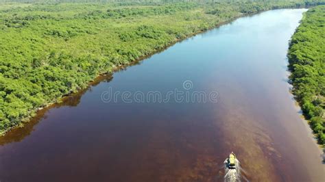 Paisagem Natural Da Floresta Tropical Amazônica Cenário Do Rio Amazon