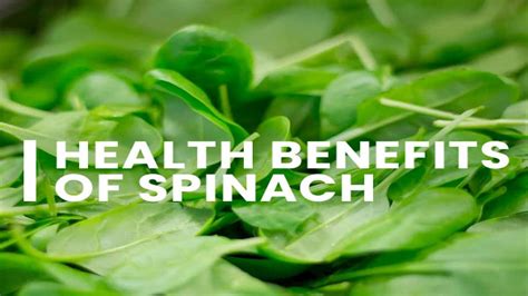 Spinach Nutrition Health Benefits And Recipe