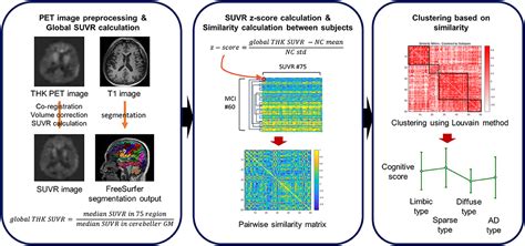 Frontiers Identification Of Heterogeneous Subtypes Of Mild Cognitive