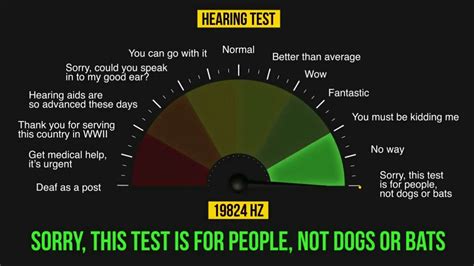 Hearing Test Test Your Hearing Level Hz To Hz Youtube