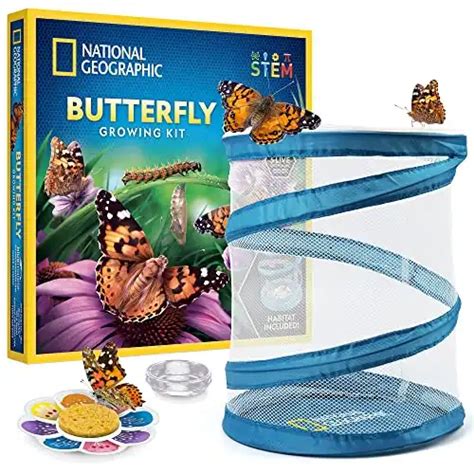 The 13 Best Educational Toys For 6 Year Olds