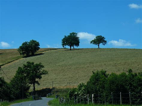 20090602 178 1112 Jakobus Wiese Hügel Bäume Baum Straße Flickr