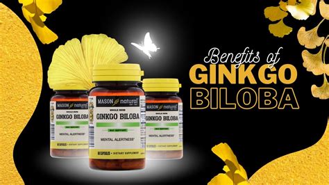 Benefits Of Ginkgo Biloba Youtube