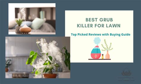 Best Humidifier For Plants Reviews With Buying Guide