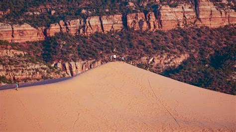 The Warm Splendor of Coral Pink Sand Dunes State Park - Cactus Atlas