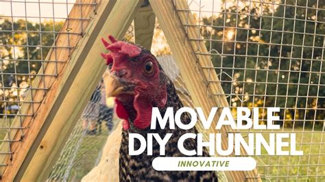 Diy Chicken Tunnel Step By Step Guide To Building A Movable Chunnel