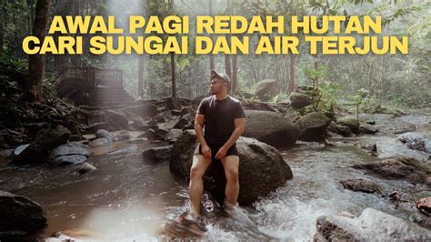 Meredah Hutan Terapi Semulajadi Dengan Bunyi Air Terjun Youtube