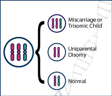 The BioBlogsters 3 SEX CHROMOSOMES DISORDERS ABNORMALITY