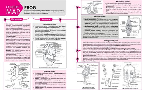 Frog 2017 Vol 4 Mtg Biology Today Study Biology Biology Notes