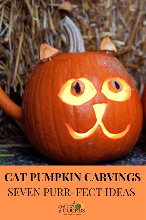 10 Cat Pumpkin Carving Ideas