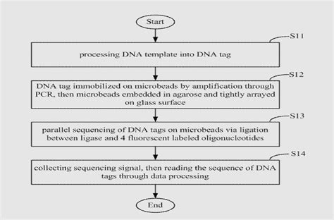 DNA Sequencing Method And System - Pioneering Minds