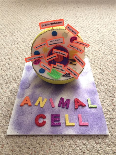 animal cell project examples - Golden Memoir Photo Gallery