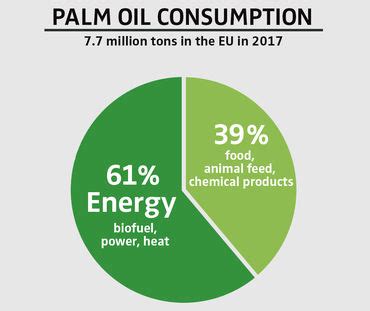 Palm oil – deforestation for everyday products - Rainforest Rescue