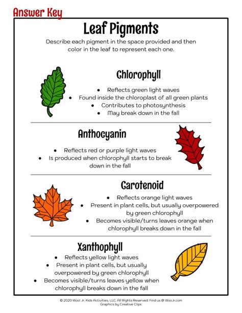 Fall Leaf Pigments Teaching Worksheet | Woo! Jr. Kids Activities ...