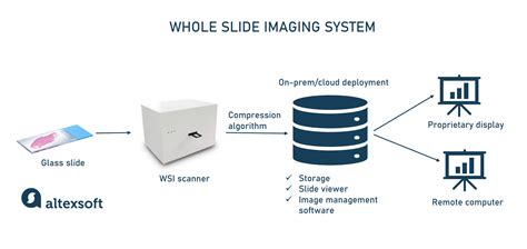 Digital And Computational Pathology Workflow Tools And Limitations