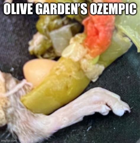 Ozempic Olive Garden Imgflip