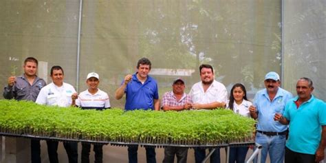 Maga Entrega Centro De Producci N De Hortalizas En Pet N Gobierno De