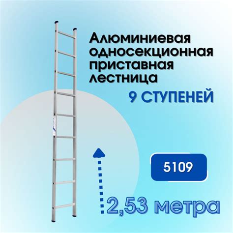 Лестница приставная ALUMET Ал, количество секций: 1 - купить по ...