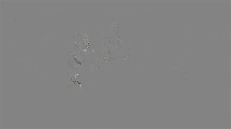 Milf Strap On Prostitution Sting Takes Crank Off The Streets