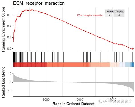 Rna Seq入门实战（七）：gsea——基因集富集分析 知乎