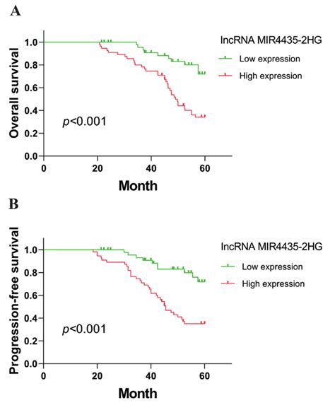 Relationship Between The Expression Level Of LncRNA MiR4435 2HG And