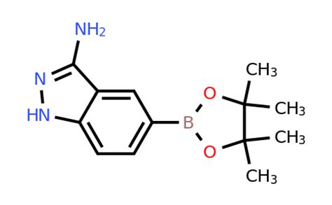 CAS 1187968 75 7 6 4 4 5 5 Tetramethyl 1 3 2 Dioxaborolan 2 YL 1H