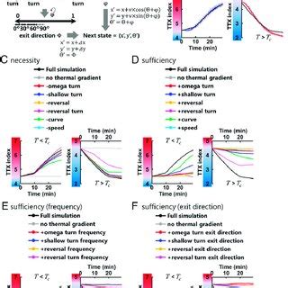 Thermotaxis Behavior Changes In Thermal Environments T Relative To