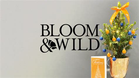 Bloom Wild 30 Gift Card DE Buy Cheap On Kinguin Net