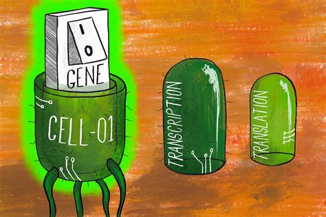 March Multi Level Control Of Gene Expression News And Features