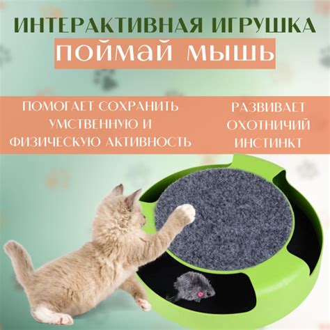 Интерактивная игрушка для кошек с когтеточкой "ПОЙМАЙ МЫШКУ"для всех ...