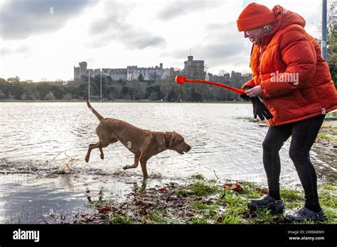 Hund Spielt Im Hochwasser Fotos Und Bildmaterial In Hoher Aufl Sung