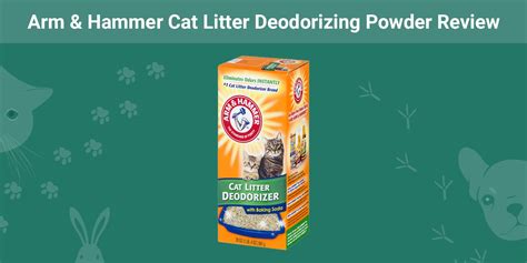 Arm And Hammer Cat Litter Deodorizing Powder Review 2024 Pet Keen