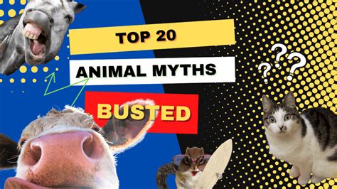 20 Animal Myths We Thought to Be True - 20 animal myths we thought to ...