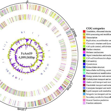 Circular Genome Map Of Geobacter Sp Strain FeAm09 Generated By Using