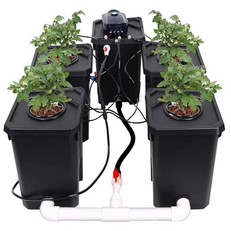 The Best Picks Revolutionize Your Garden With The Deep Water Culture