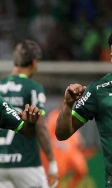 a mão na taça veja o que o Palmeiras precisa para confirmar 12º