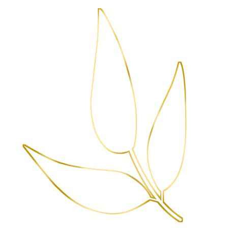 Gold Leaf Illustration 16774992 Png