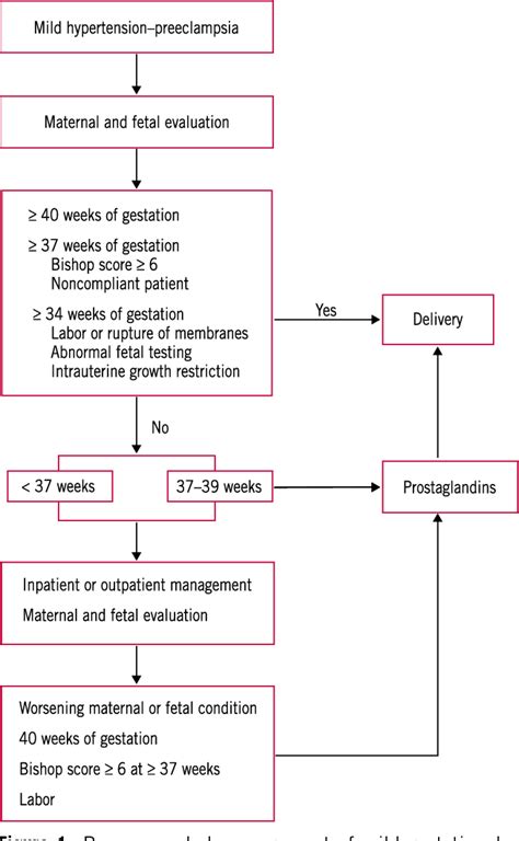 Figure 1 From Diagnosis And Management Of Gestational Hypertension And Preeclampsia Semantic