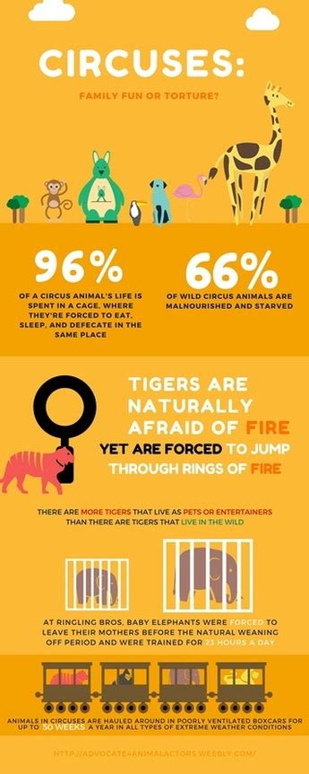 Circus Animals Infographic