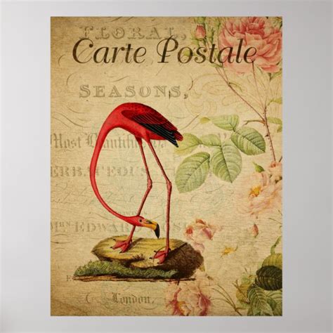 Vintage Flamingo Posters & Prints | Zazzle